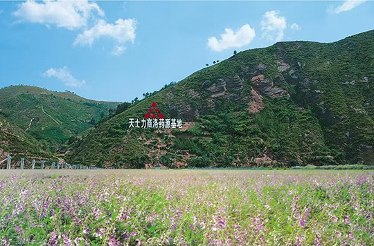 人生就是搏医药